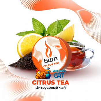 Заказать кальянный табак Burn Citrus Tea (Цитрусовый Чай) 25г онлайн с доставкой всей России